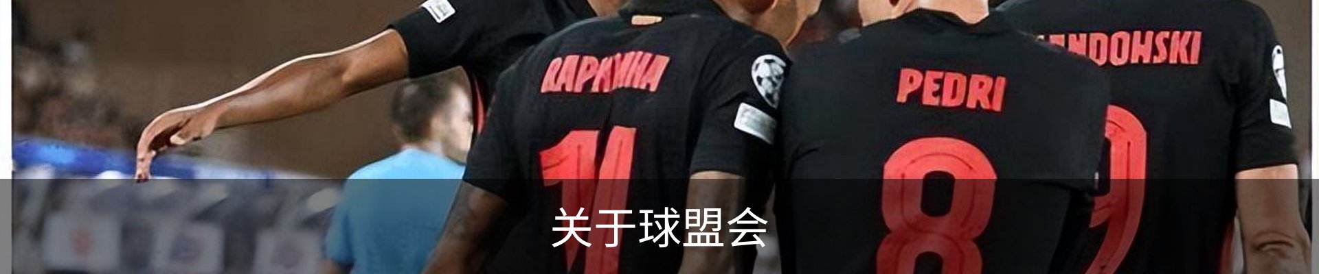 关于球盟会